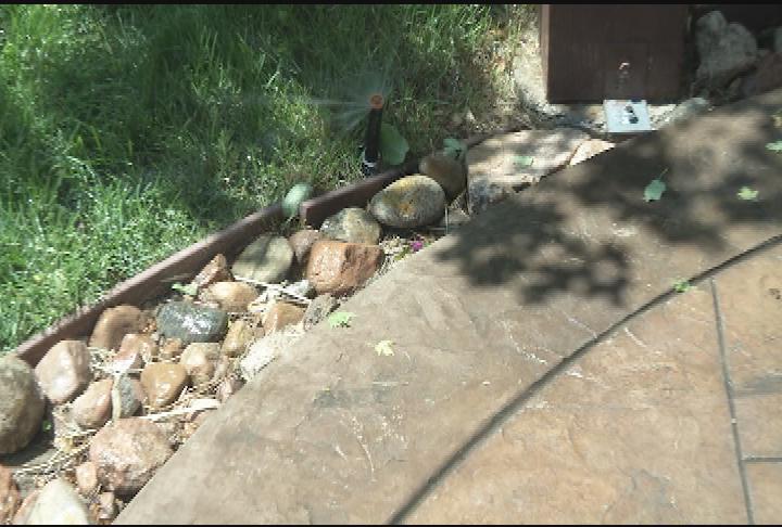 Saving Water Outdoor Water Audit