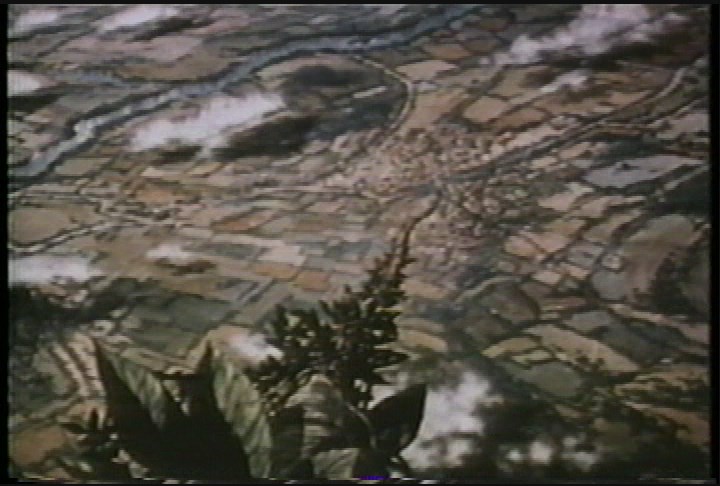 Classic Movie - Jack and the Beanstalk