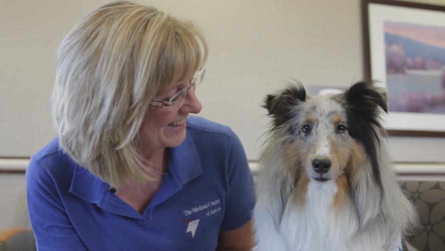 Therapy Dogs at the Medical Center of Aurora