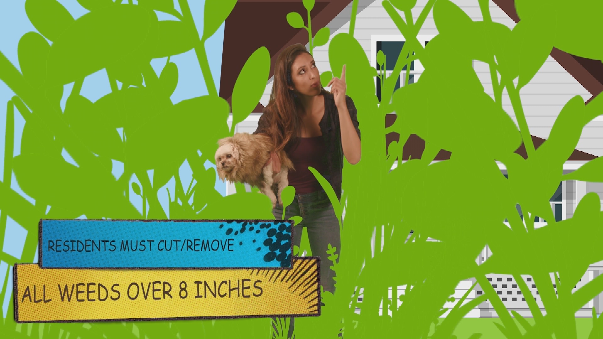 Code Enforcement - Weeds