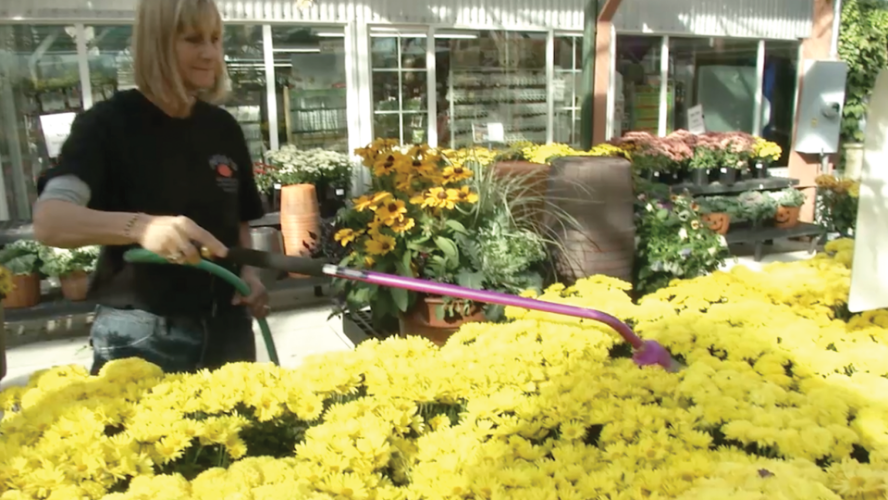 2014 Business Award - Nick's Garden Center