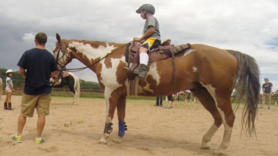 Equine Therapy at Aurora Mental Health