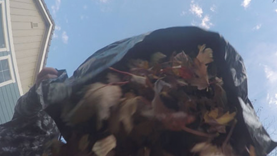 What to Do with Leaves