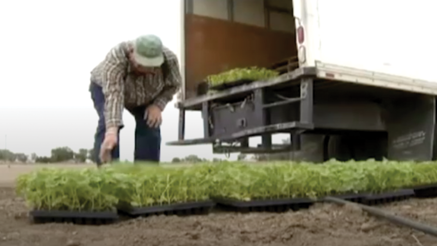 Aurora's Continuing Farming Program in the Arkansas Valley