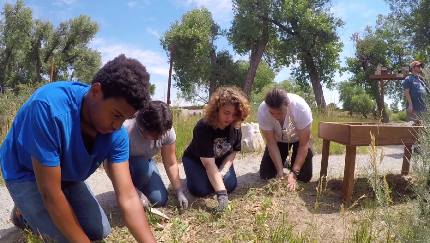Aurora News Weekly - Week of 07-23-18