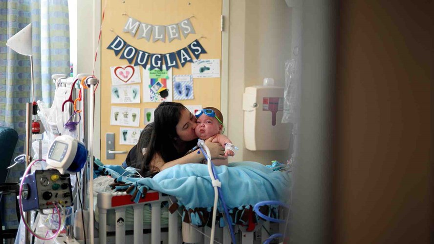 The Sunshine Committee