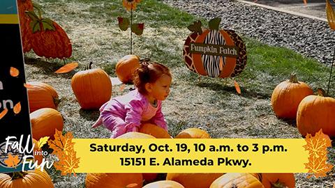 Fall Into Fun 2024 PSA 