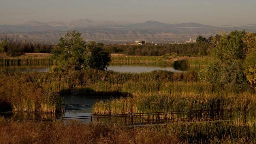 Connected Colorado November-December 2024