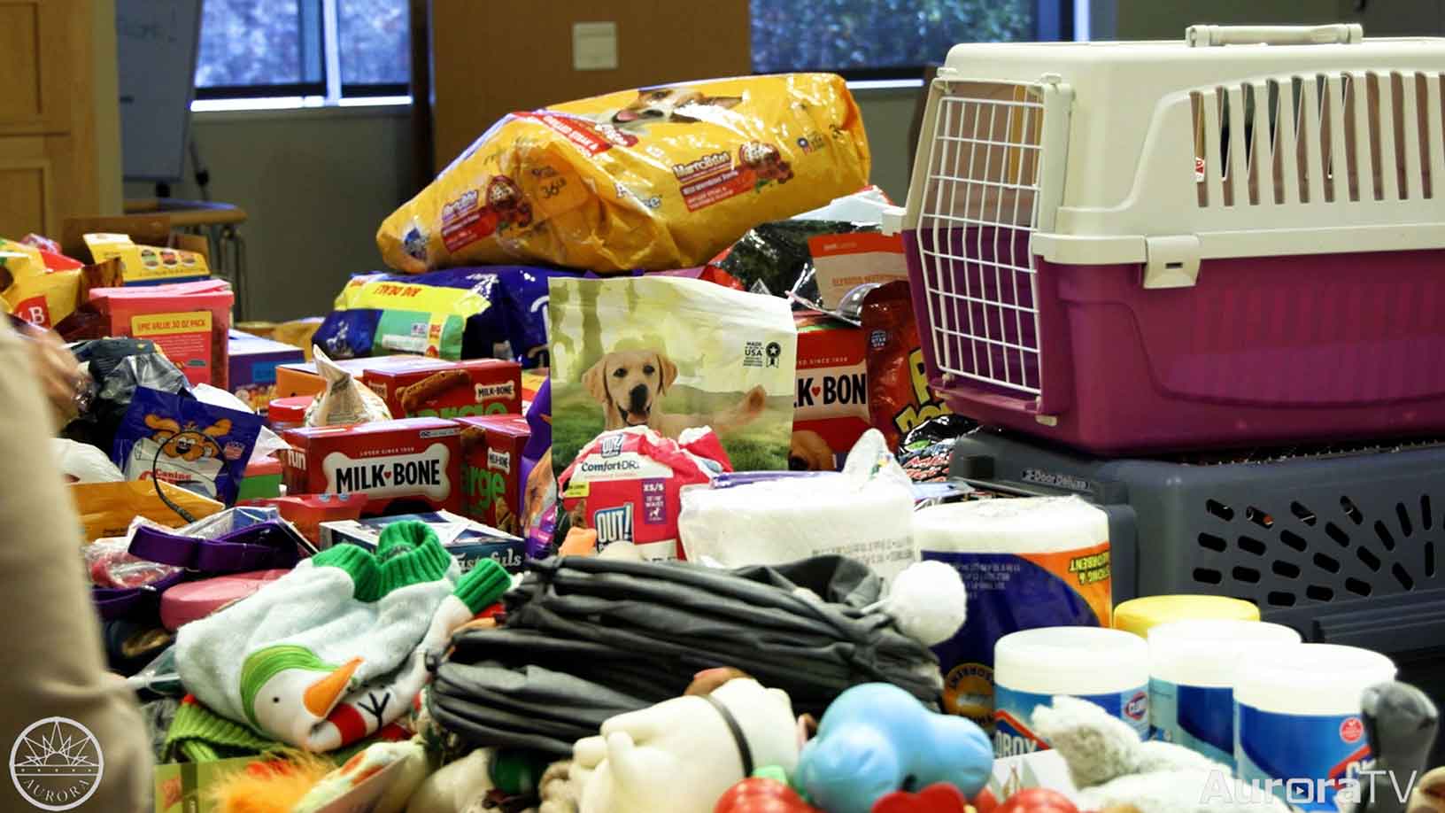 Aurora Civic Engagement Academy's Hungry Paws Project