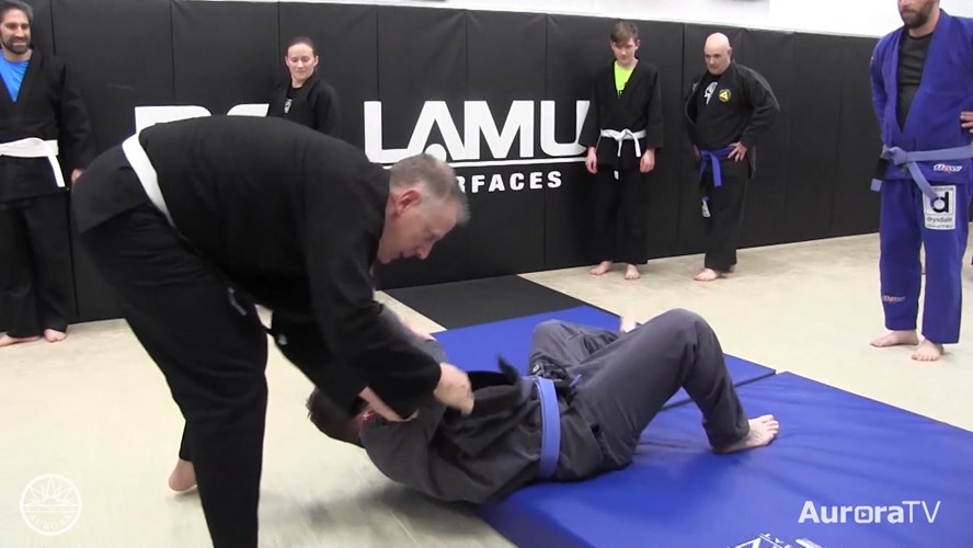 Jiu-Jitsu for the Folks in Blue