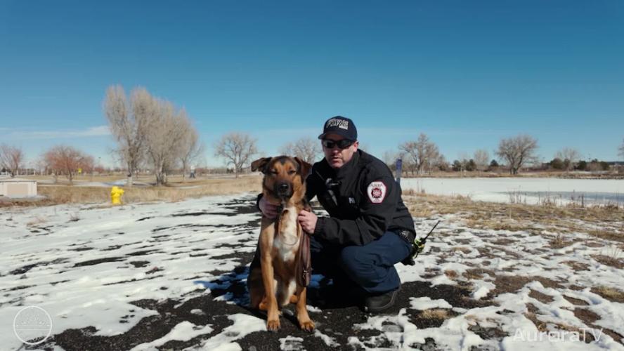 Aurora Now February 26, 2025