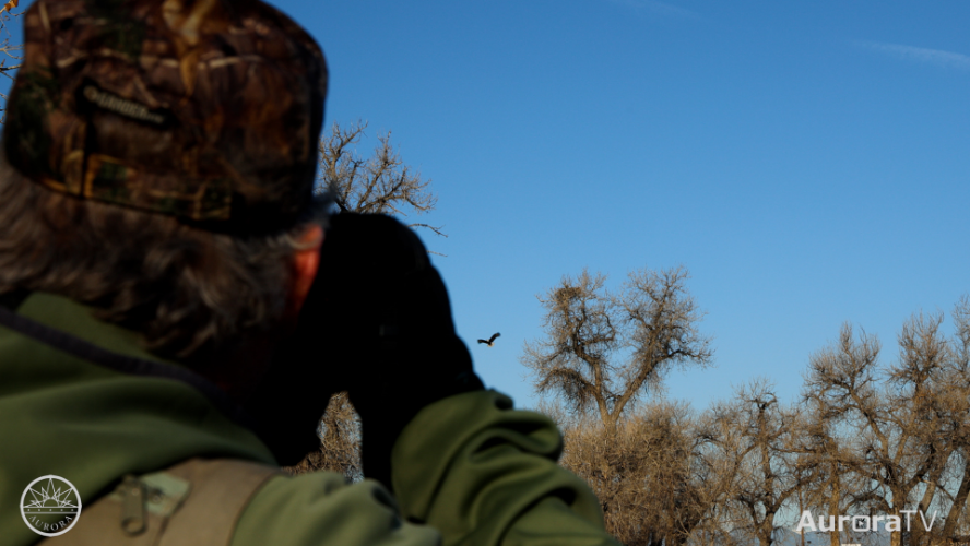 Meet an Eagle Observer