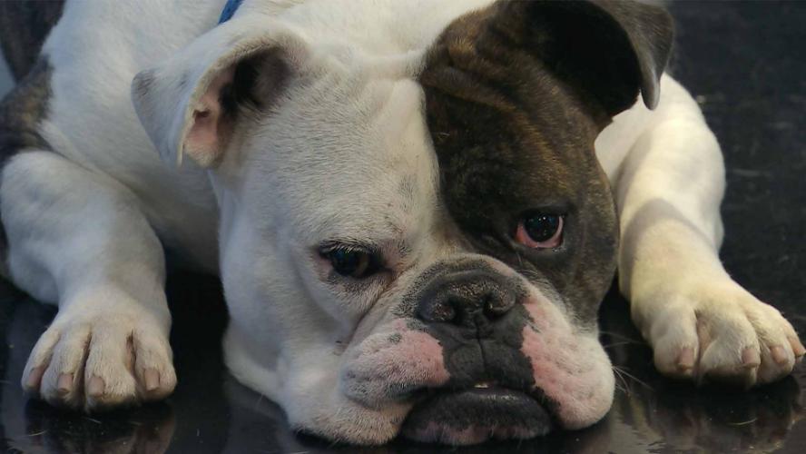 Aurora Now March 26, 2025