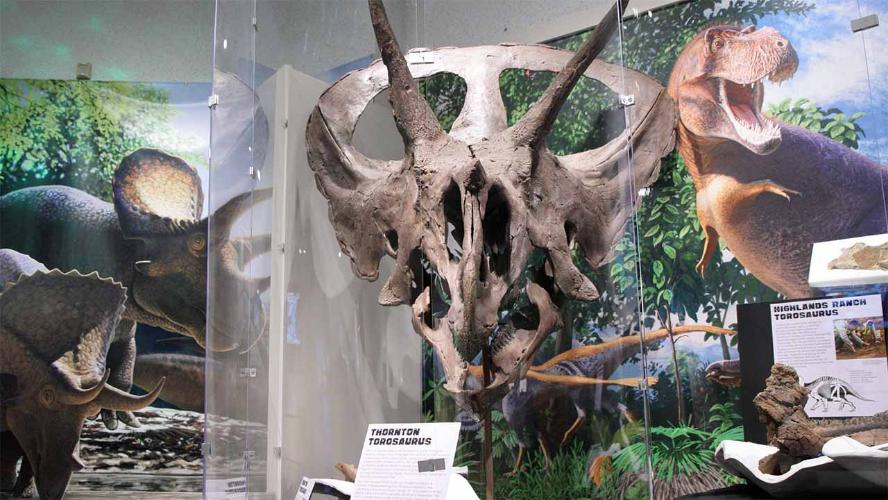 Aurora History Museum Unveils "Prehistoric Aurora" Exhibit