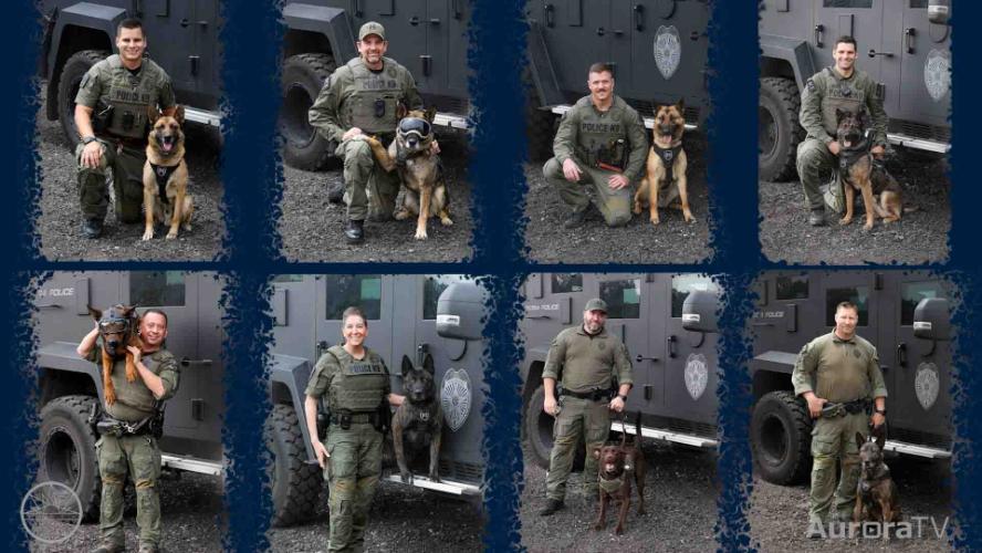 Meet APD's K9 Team