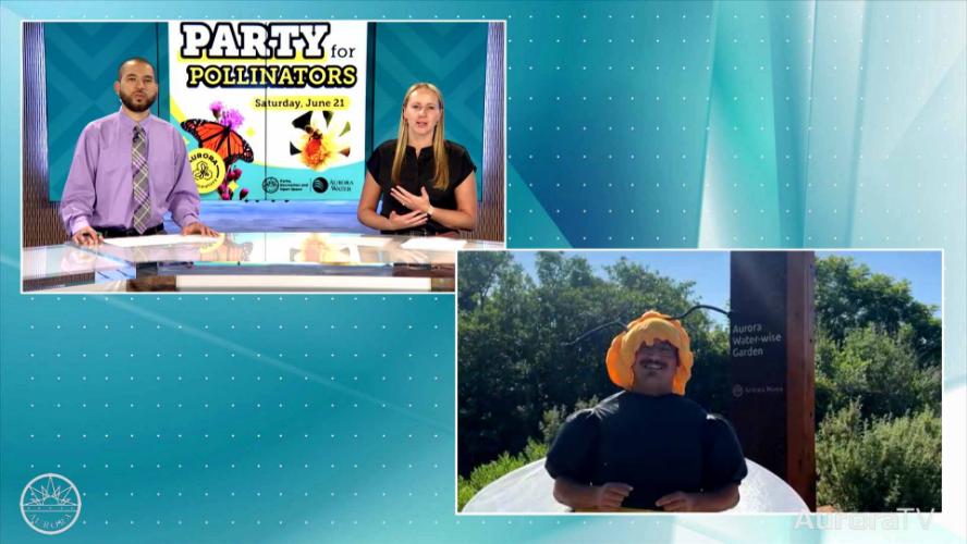 City Naturalist Previews Party for Pollinators