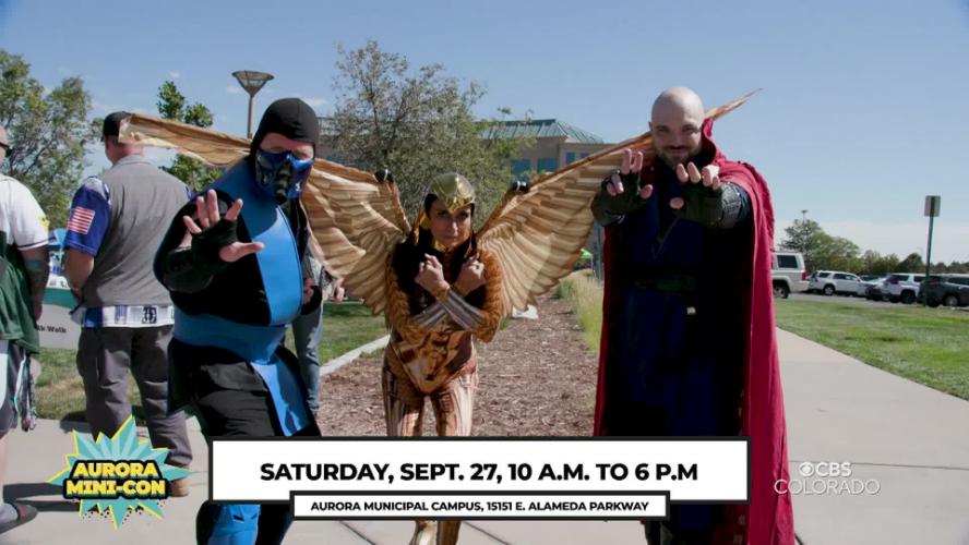 Aurora Mini-Con 2025 PSA