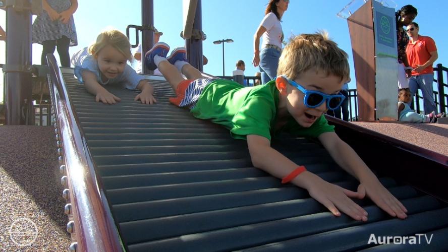 Highlights: Red-Tailed Hawk Inclusive Playground