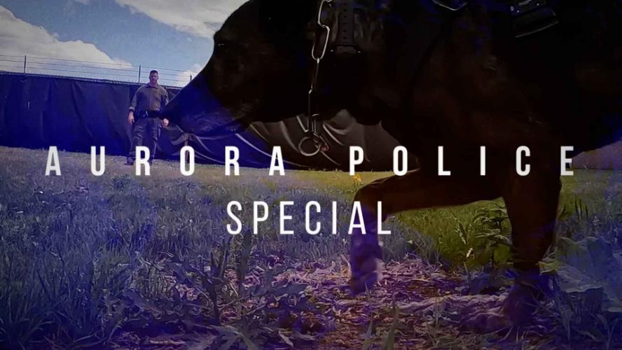 Aurora Now - Police Special