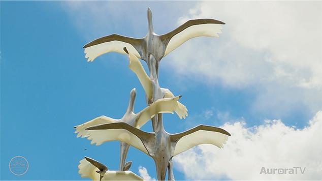 Aurora Now July 30, 2025