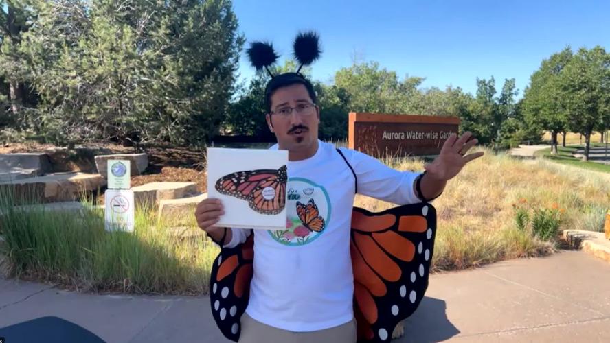 Help the Butterflies with Monarch Tagging