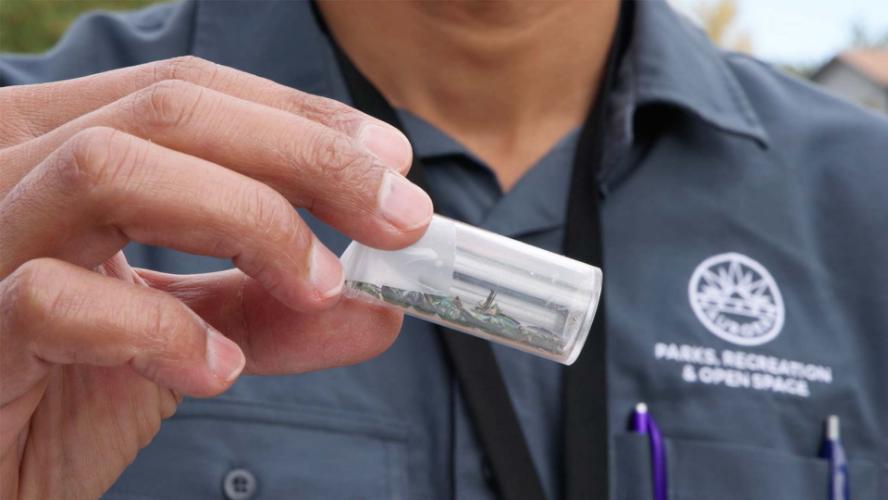 Aurora Now October 15, 2025