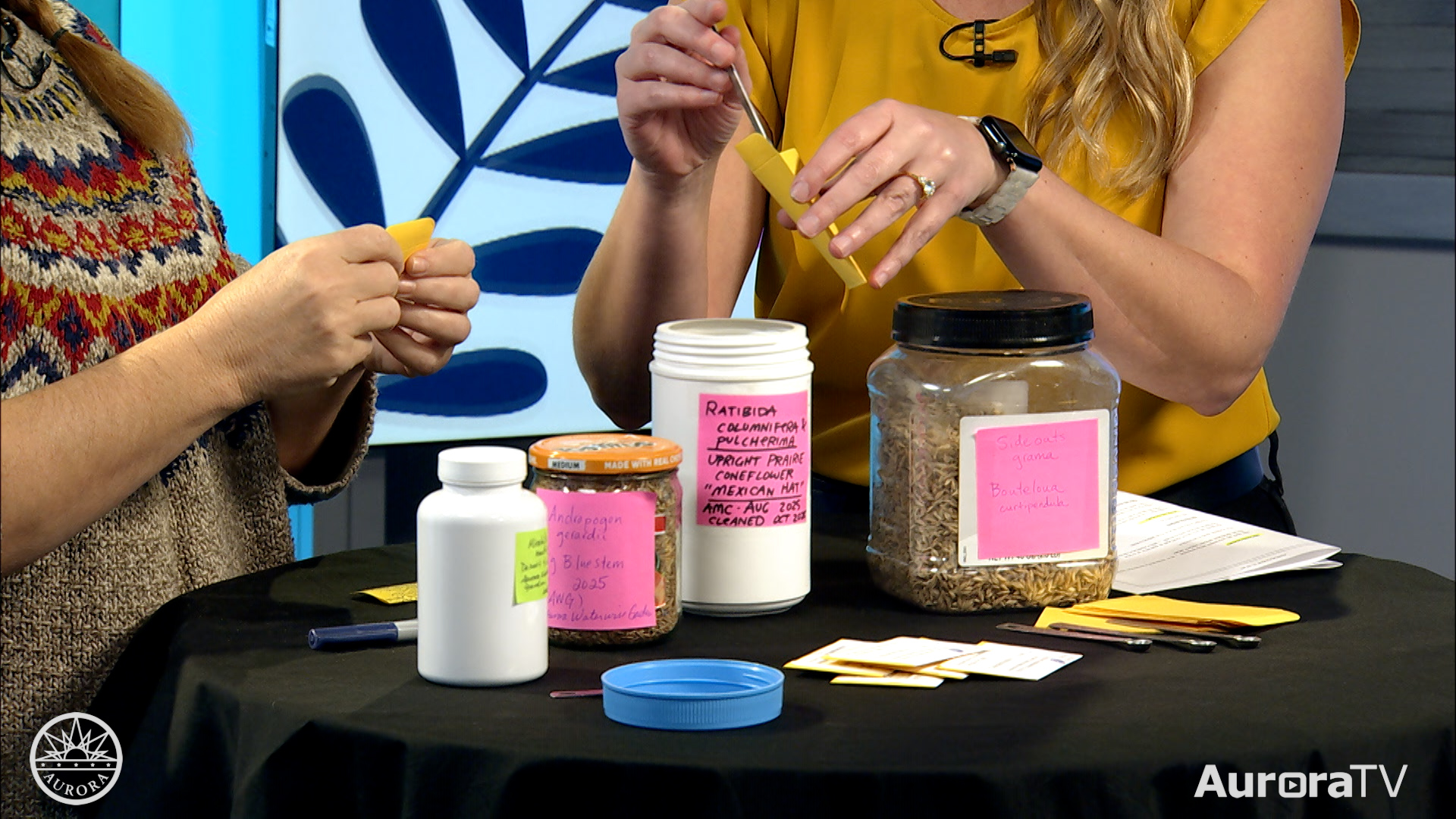  Aurora Native Plant Seed Swap