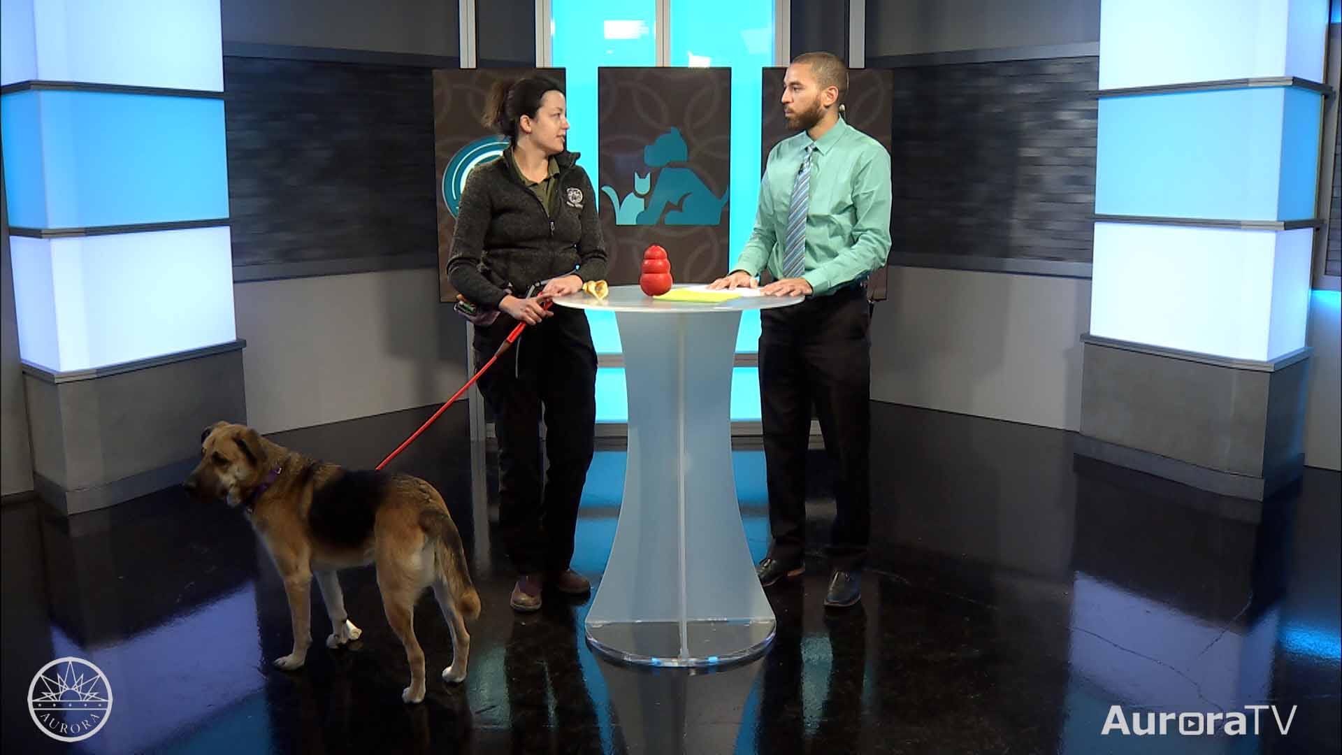 Aurora Animal Shelter Shares Holiday Food Tips to Keep Pups Safe