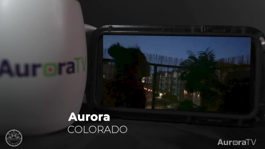 Aurora Howls at 8 pm