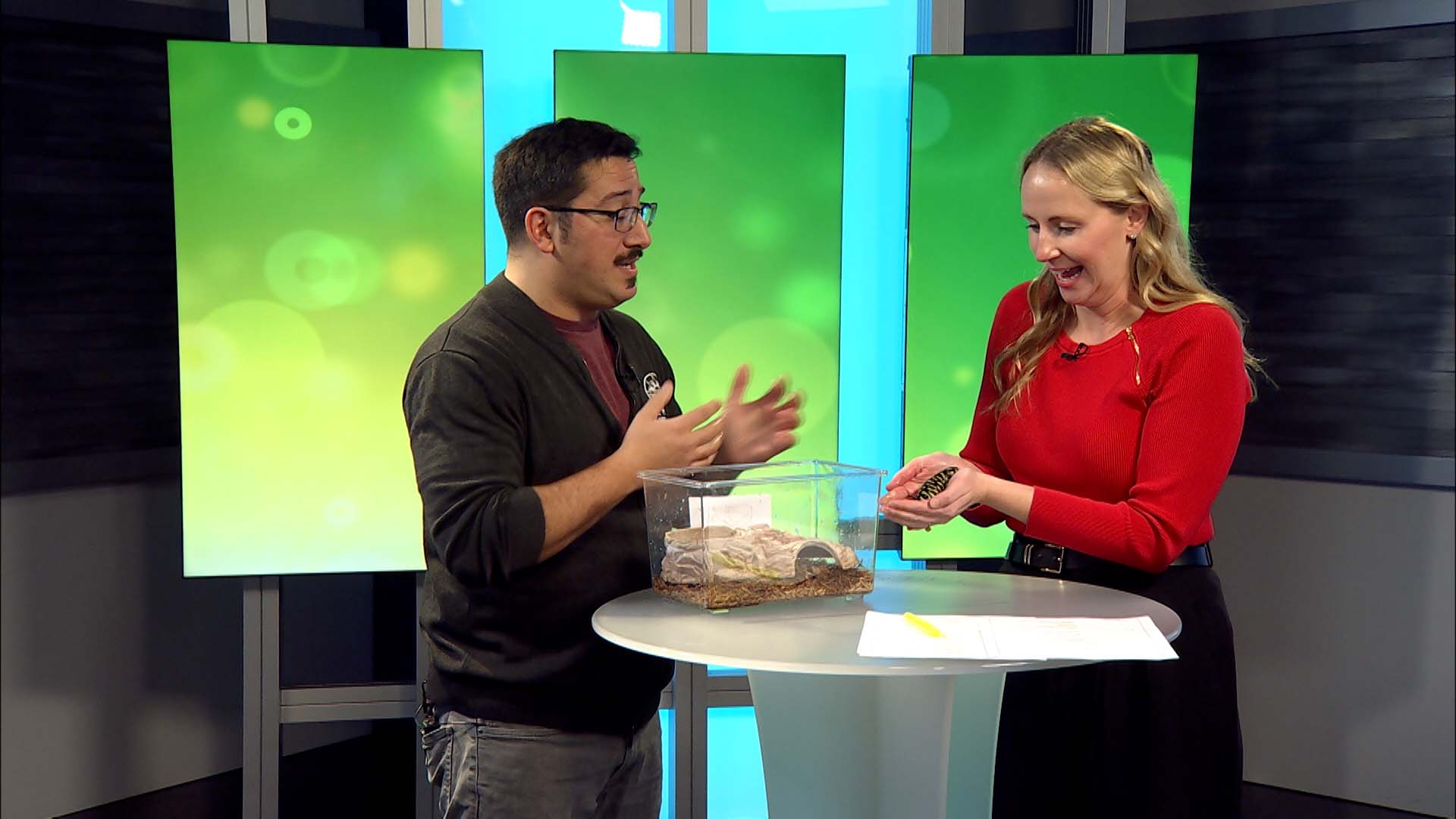 Meet the New Salamander with Aurora's Animal Ambassador Team