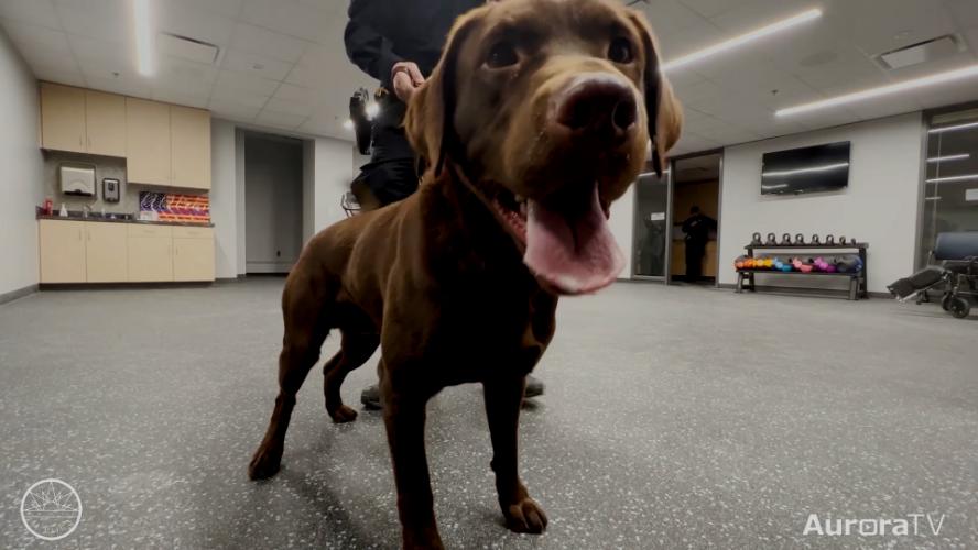 New Nose Joins APD
