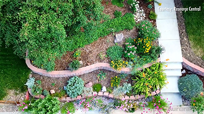 Order a Garden In a Box