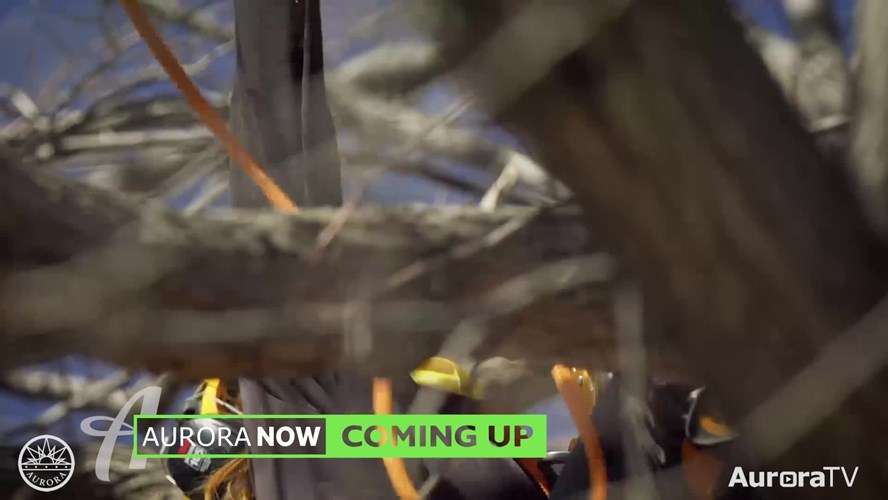 Aurora Now April 20, 2022