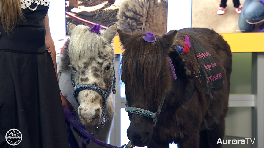 Aurora Now May 4, 2022