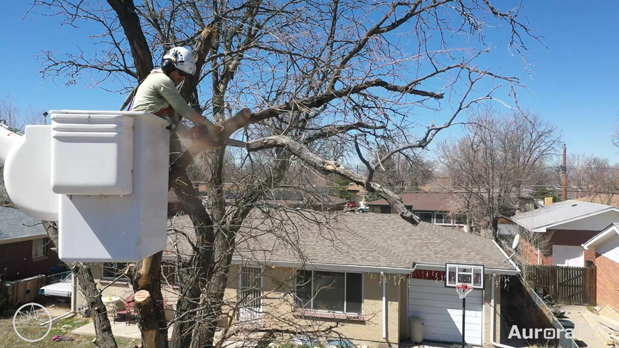 Aurora Now July 6, 2022