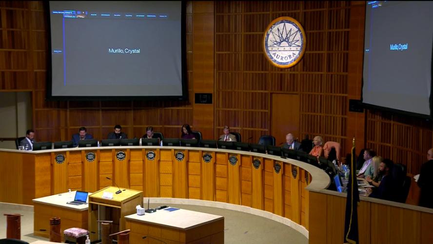 City Council 8 8 22