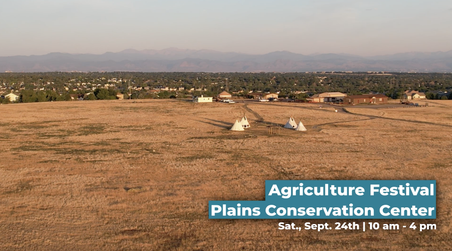 Agricultural Festival PSA